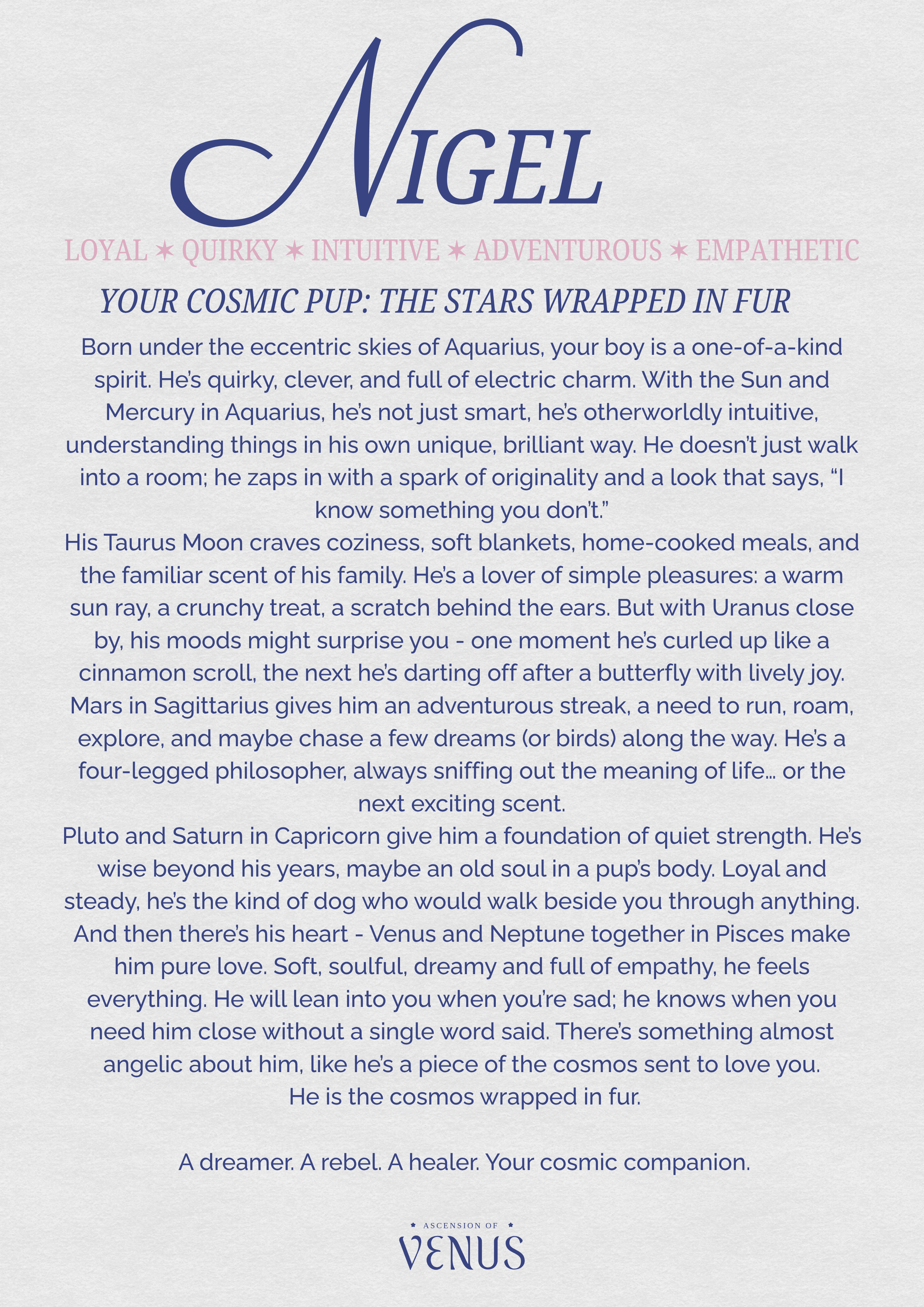 Your Cosmic Pet: The Stars Wrapped in Fur