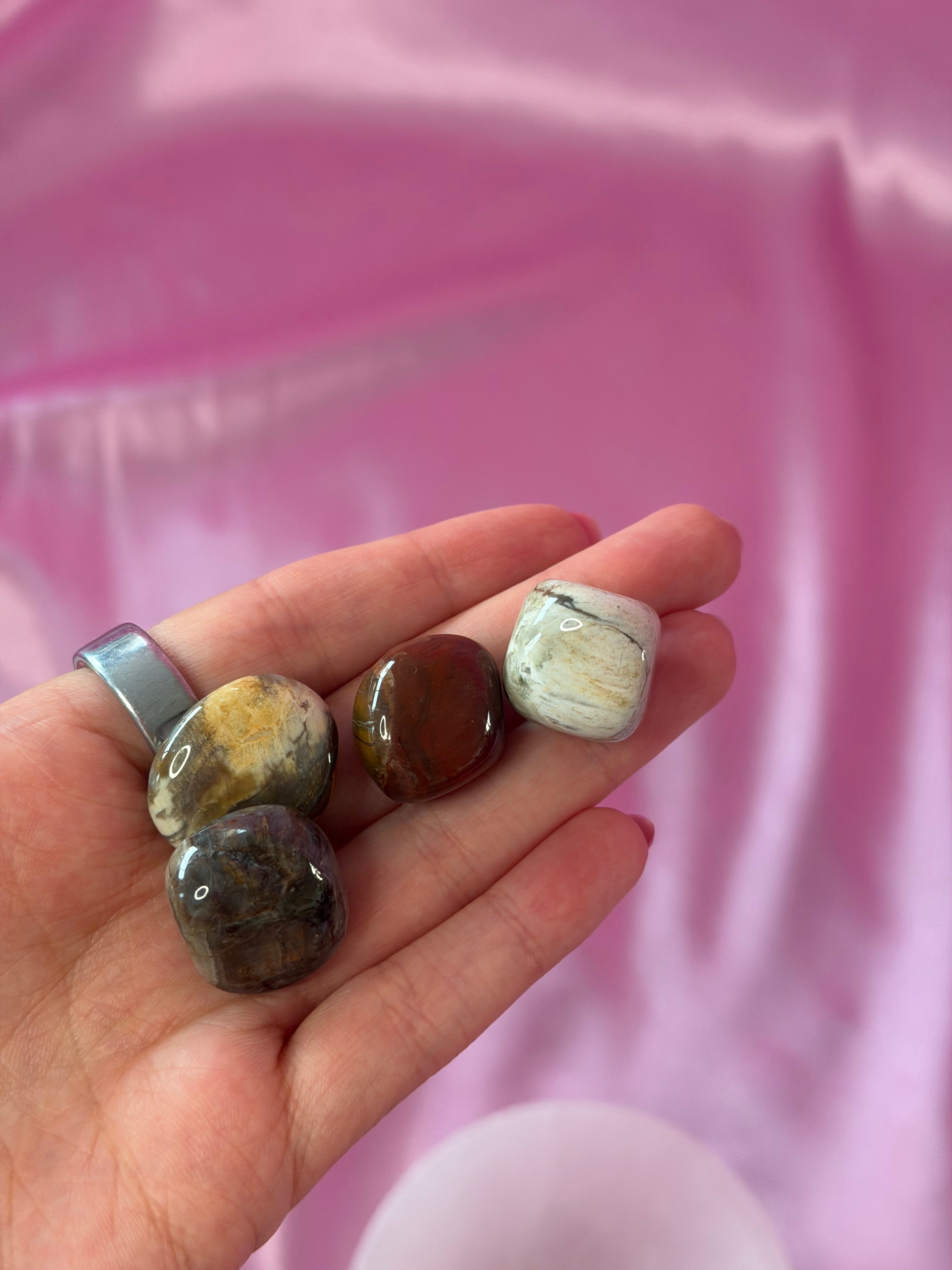 Petrified Wood Tumbled Crystal 20-30 mm