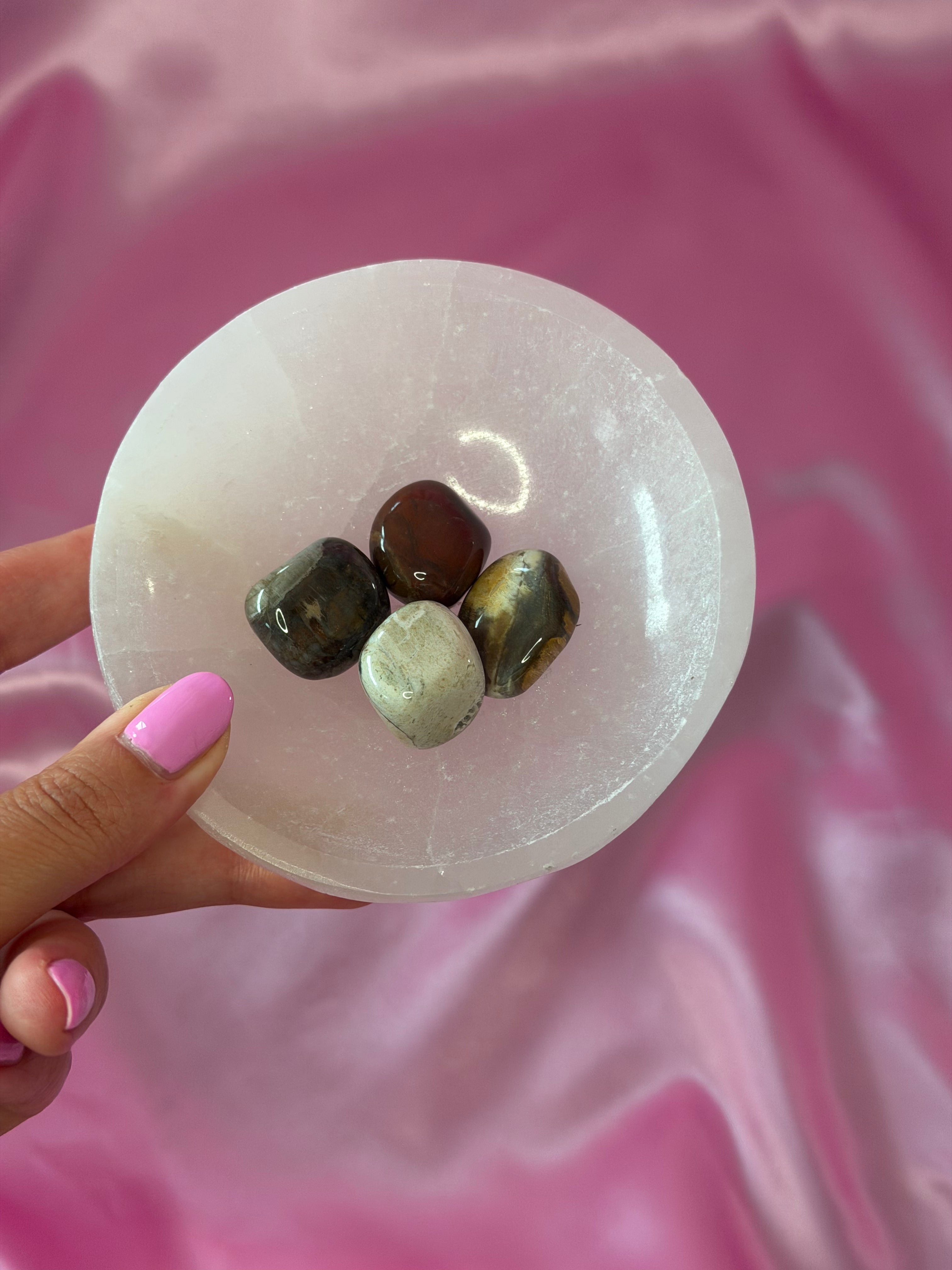 Petrified Wood Tumbled Crystal 20-30 mm