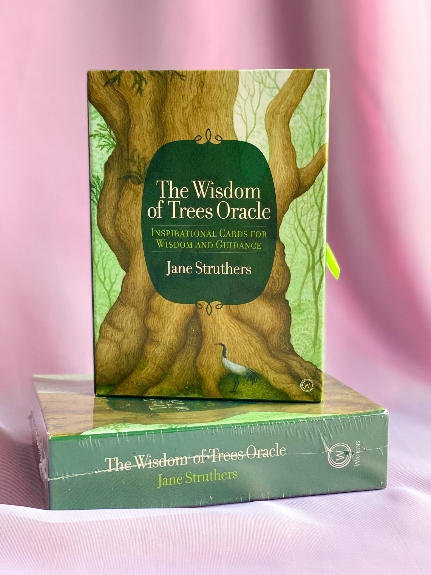 The Wisdom of Trees Oracle Cards