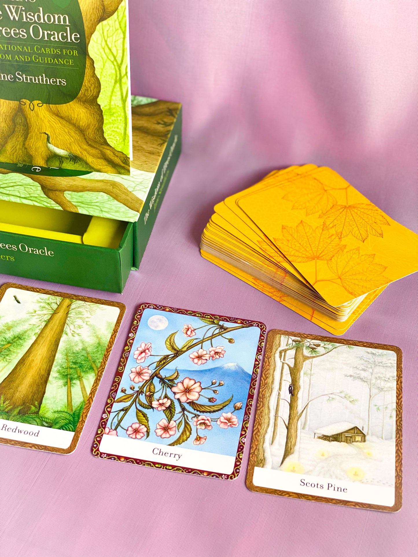 The Wisdom of Trees Oracle Cards