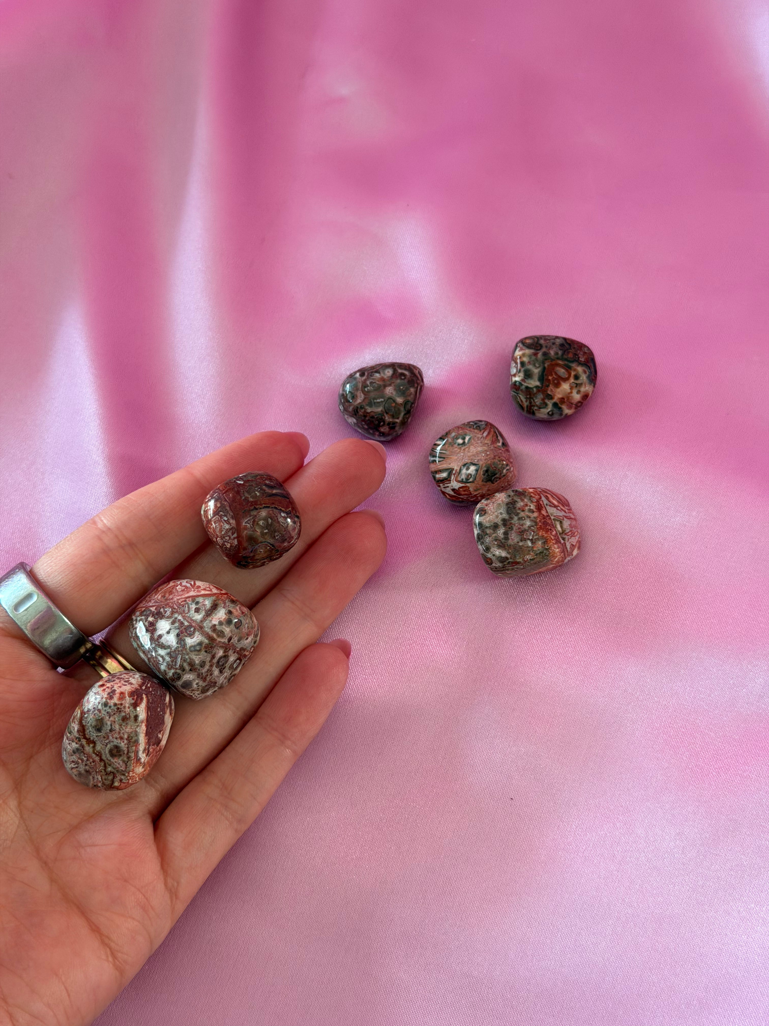 Leopard Skin Jasper Tumbled Crystal 20-30 mm
